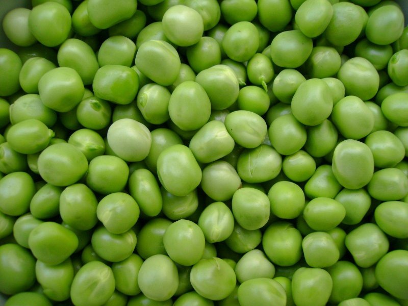 Peas? #mbaug ( https://www.freeimages.com/photo/pea-2-1171488 )