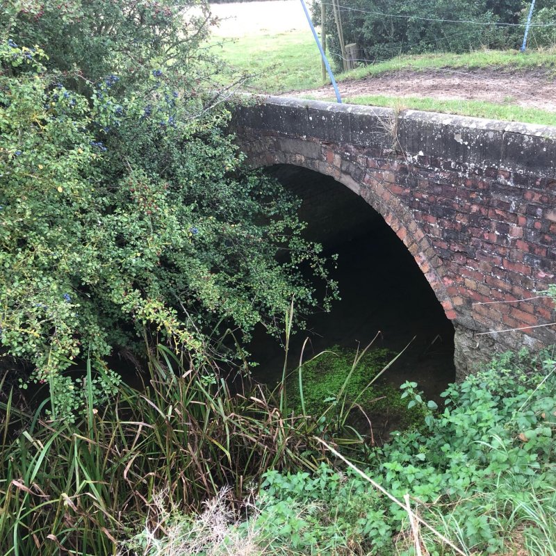 Bridges on this morning’s walk.