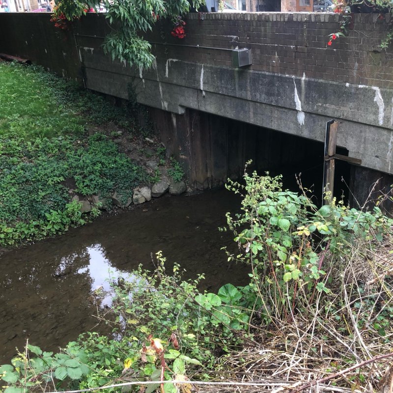 Bridges on this morning’s walk.