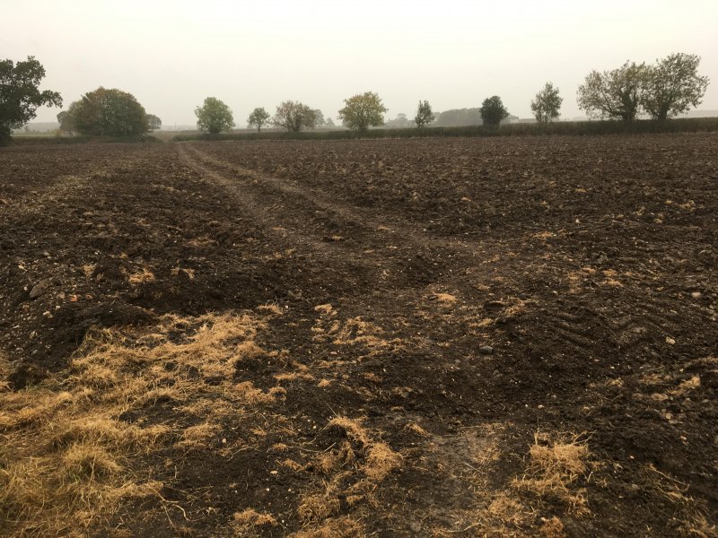 Ploughed field and/or public footpath